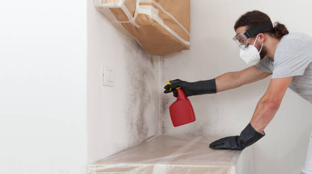 Professional Commercial Mold Remediation technician working in Holbrook, NY